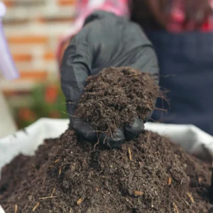 Vermicompost