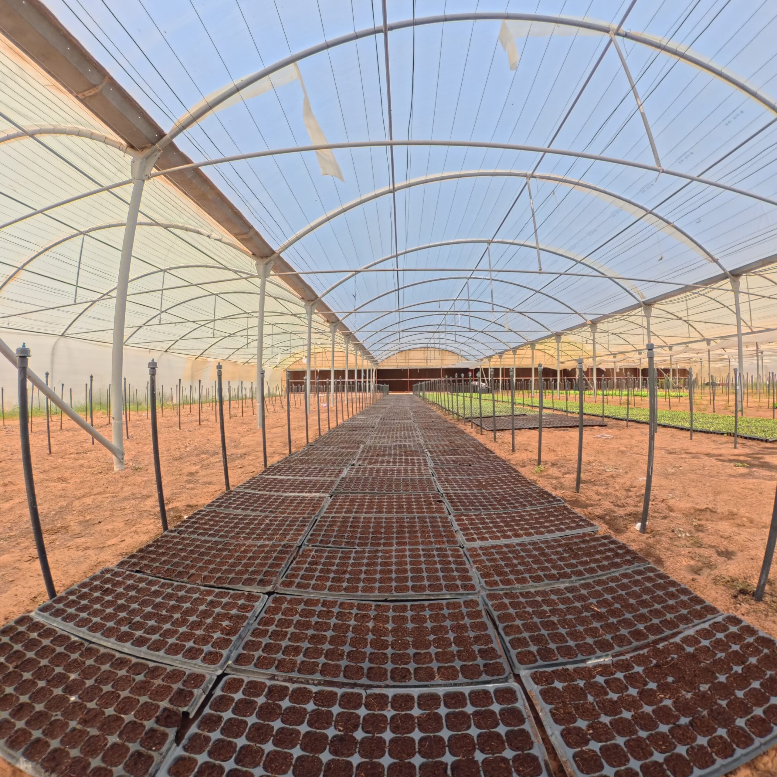 Growth stage vermicomposting