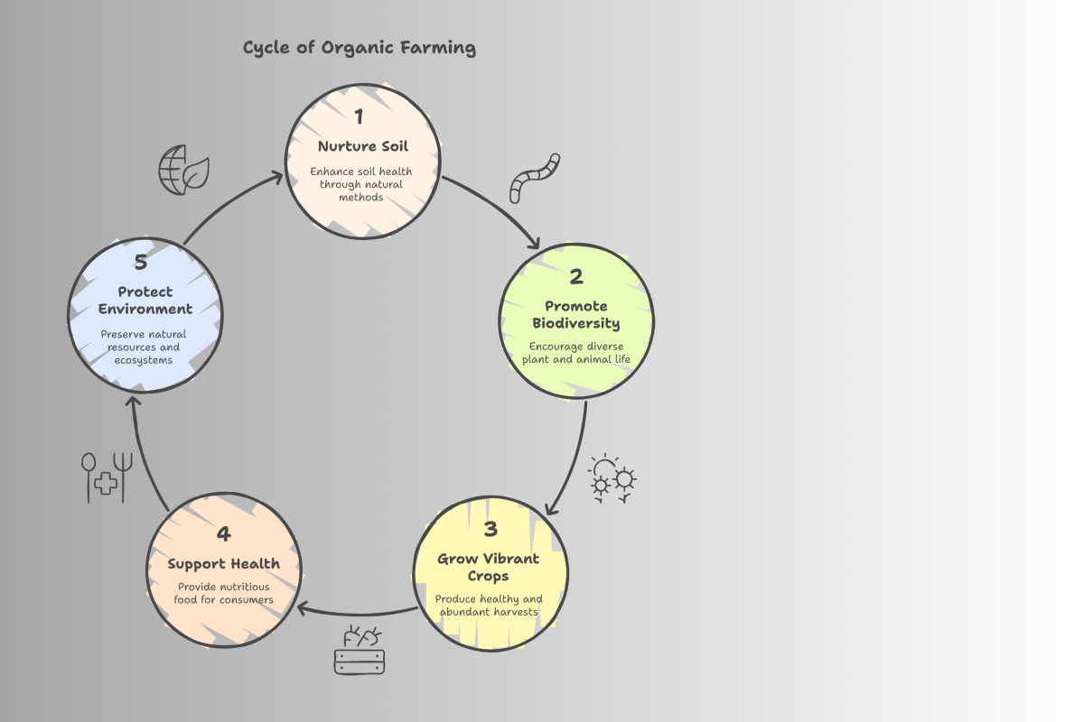 cycle of organic farming